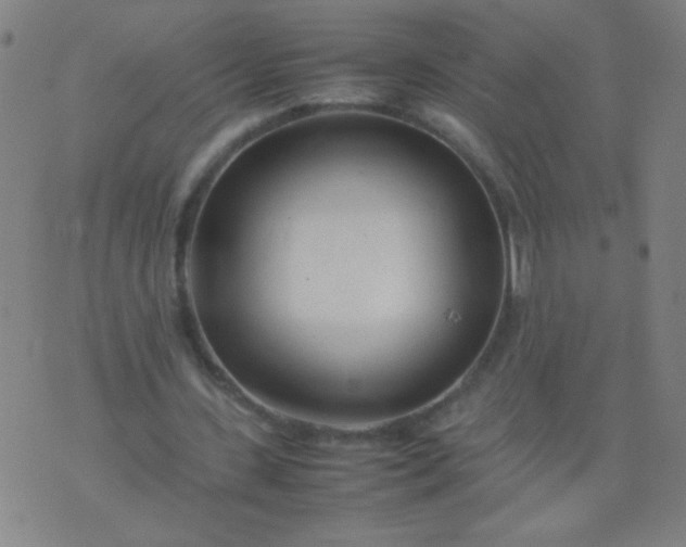 X0000074290531200609081854