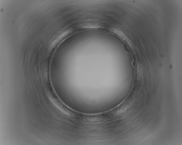 X0000074290533200609081854