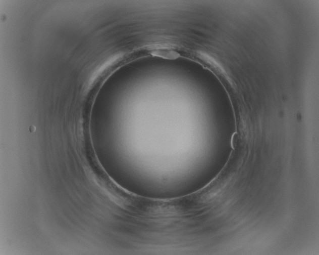 X0000074290535200609081854