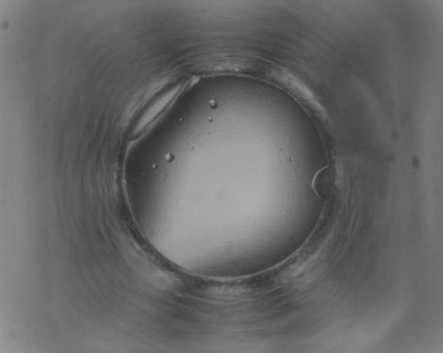 X0000074290537200609081854