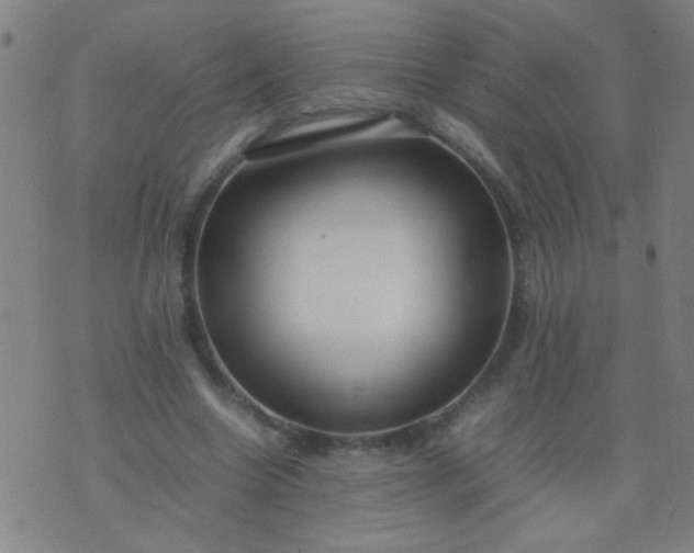 X0000074290538200609081854