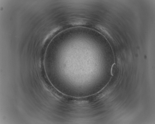 X0000074290539200609081854