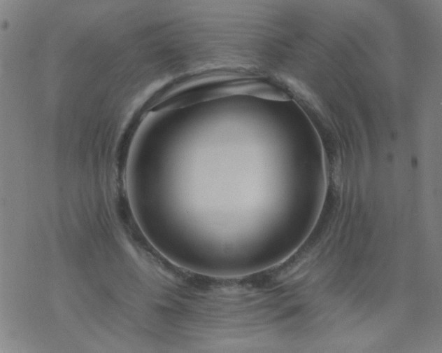 X0000074290540200609081854