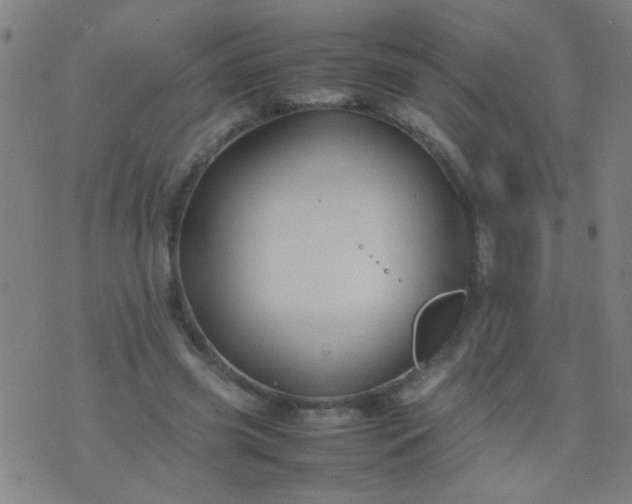 X0000074290541200609081854