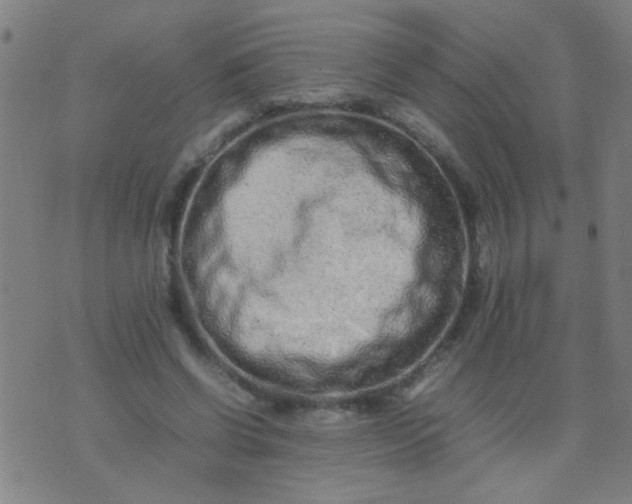 X0000074290542200609081854