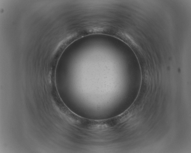 X0000074290543200609081854