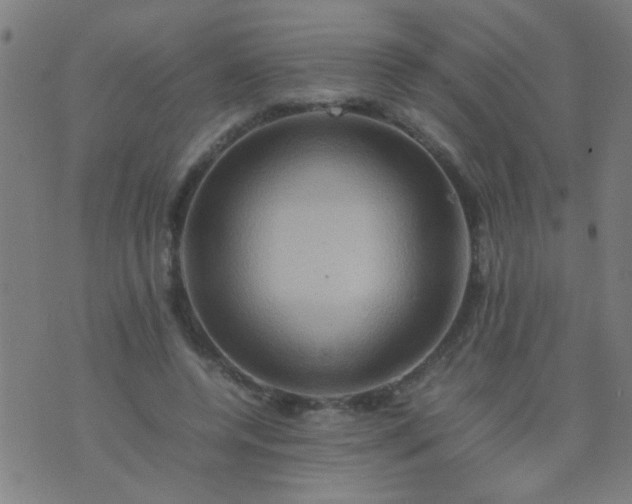 X0000074290544200609081854