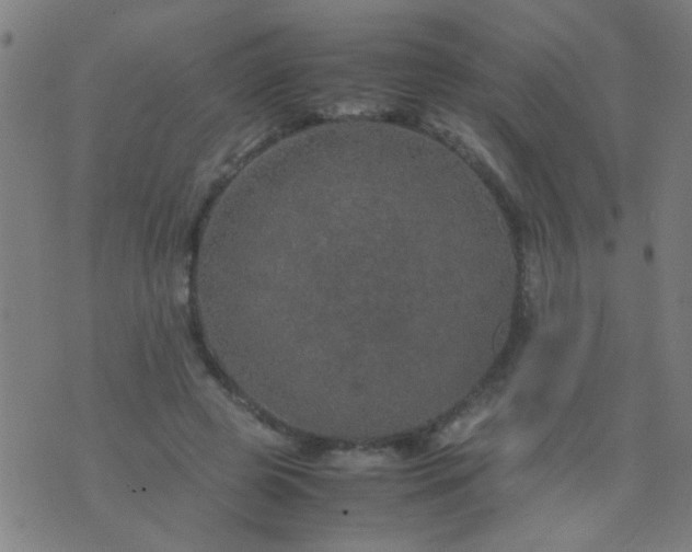 X0000074290545200609081854