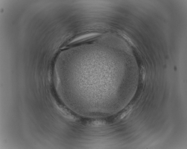 X0000074290546200609081854