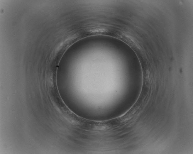 X0000074290547200609081854