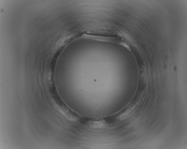 X0000074290548200609081854