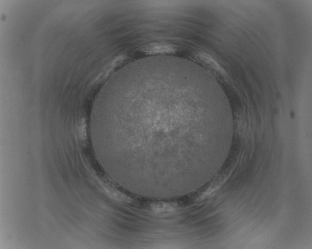 X0000074290549200609081854