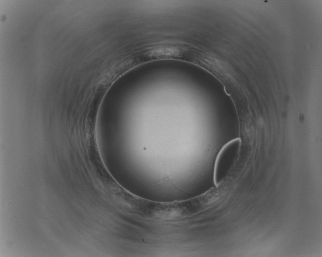 X0000074290551200609081854