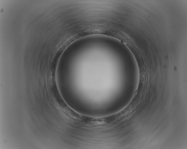 X0000074290552200609081854