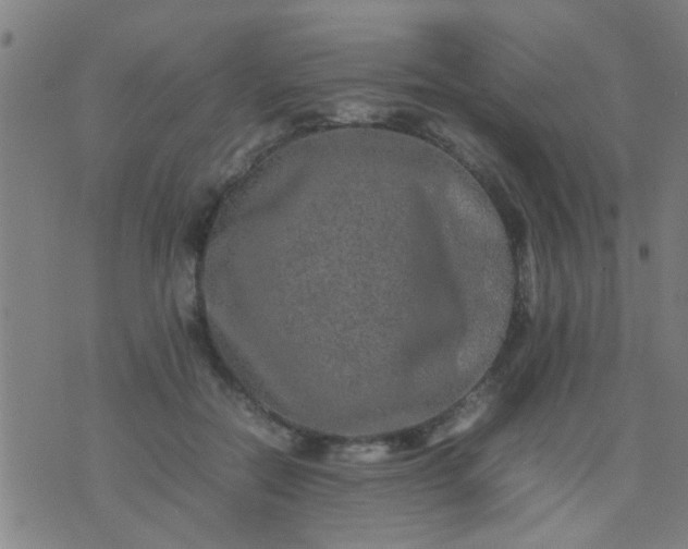 X0000074290554200609081854