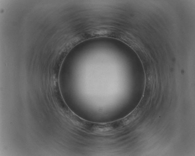 X0000074290555200609081855