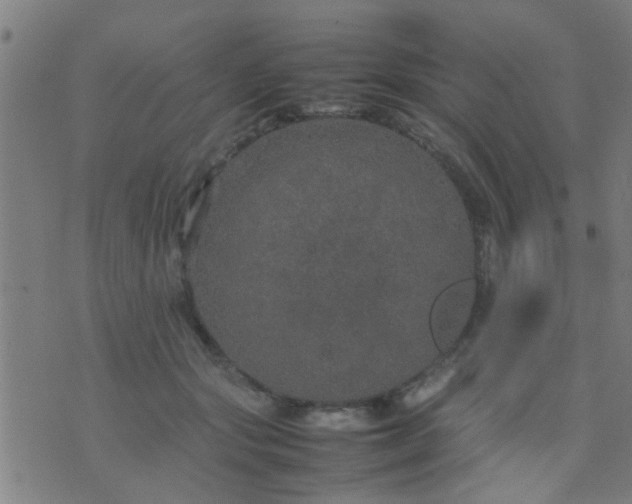 X0000074290557200609081855