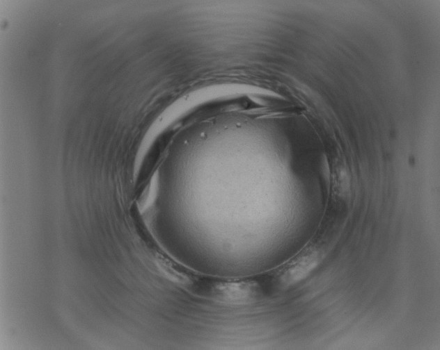 X0000074290558200609081855