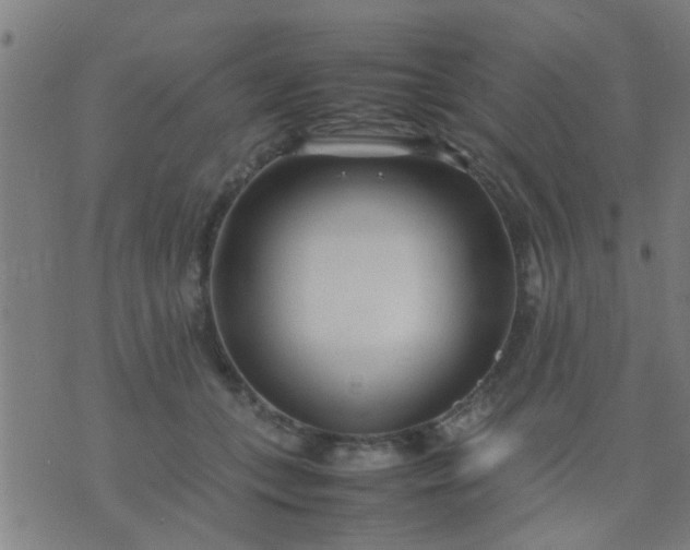 X0000074290559200609081855