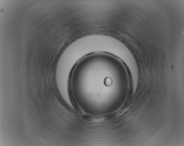 X0000074290560200609081855