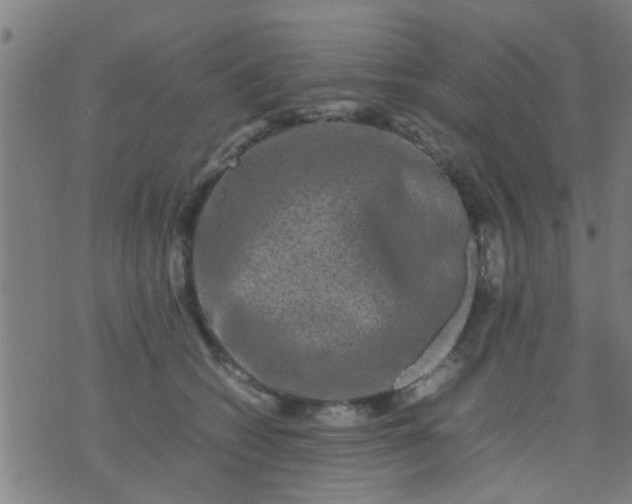 X0000074290562200609081855