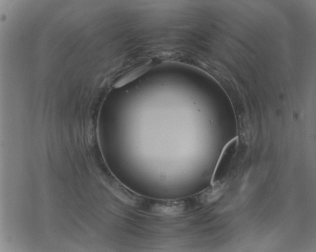 X0000074290563200609081855