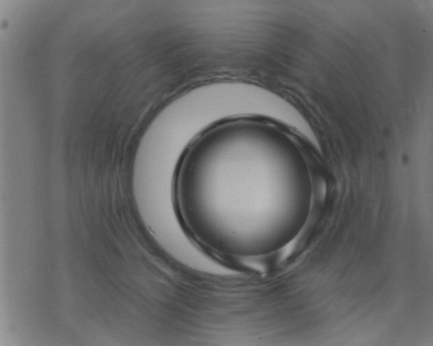 X0000074290564200609081855