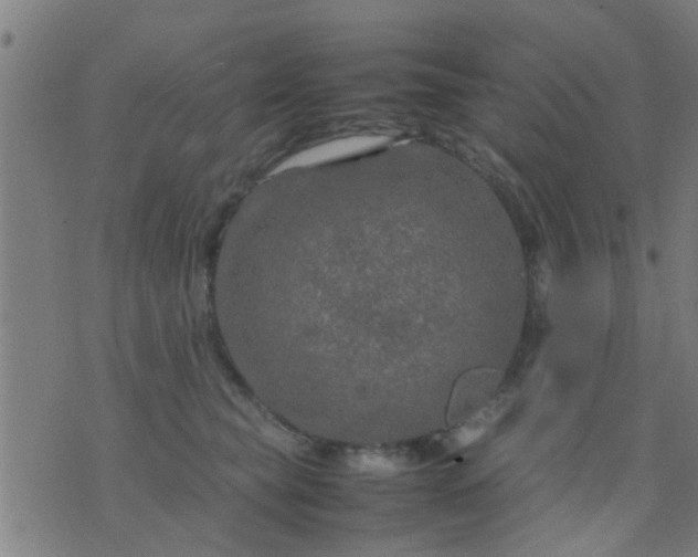 X0000074290565200609081855