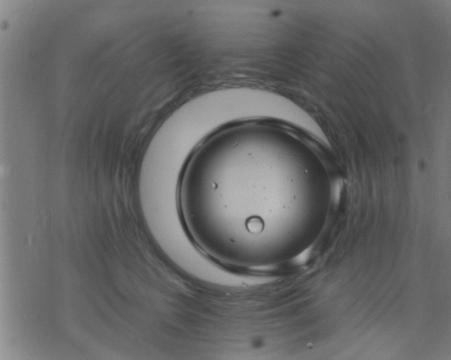 X0000074290566200609081855