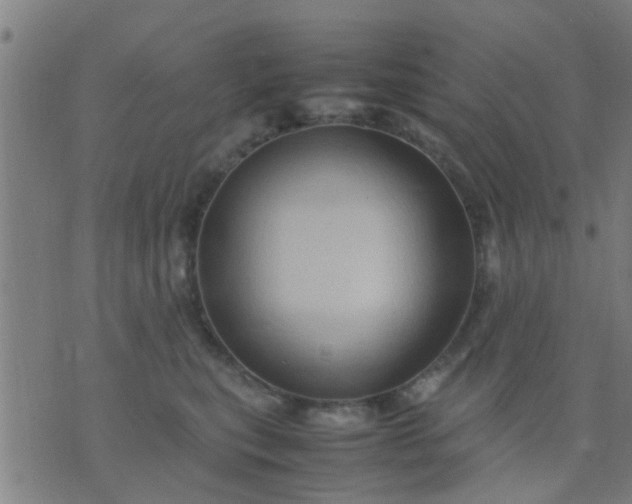 X0000074290567200609081855