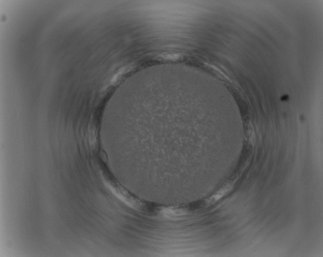 X0000074290568200609081855