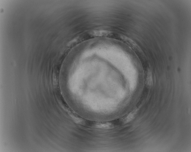 X0000074290569200609081855