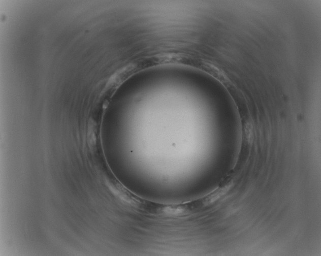 X0000074290570200609081855