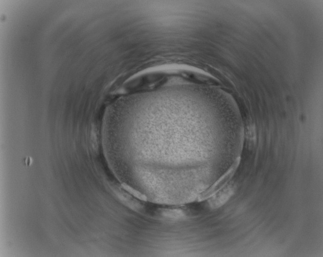 X0000074290572200609081855