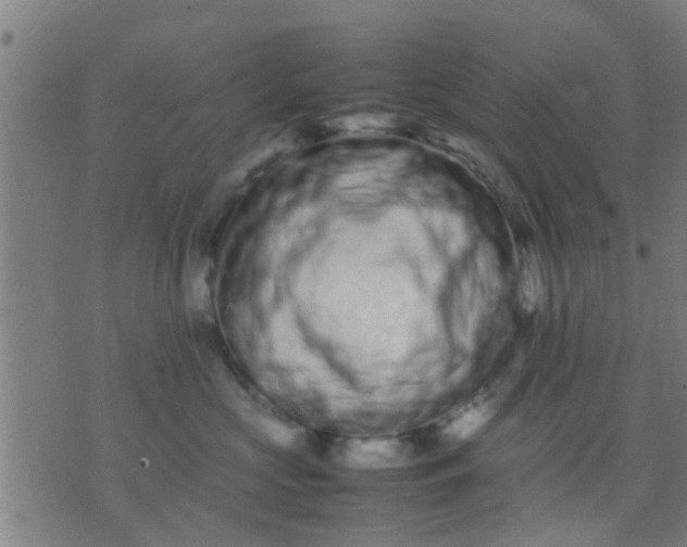 X0000074290573200609081855