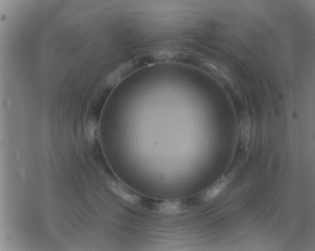 X0000074290574200609081855