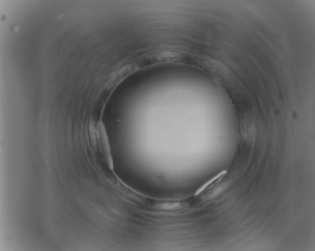 X0000074290575200609081855