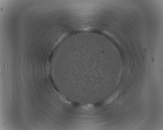 X0000074290576200609081855