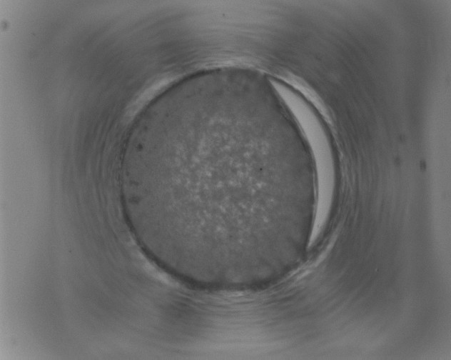 X0000074290577200609081854