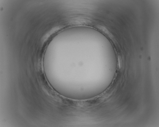 X0000074290579200609081854