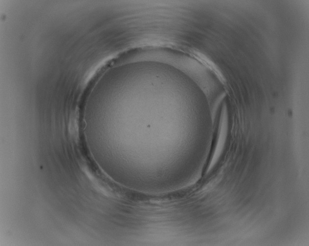 X0000074290580200609081854