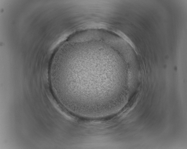 X0000074290581200609081854