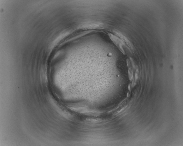 X0000074290582200609081854