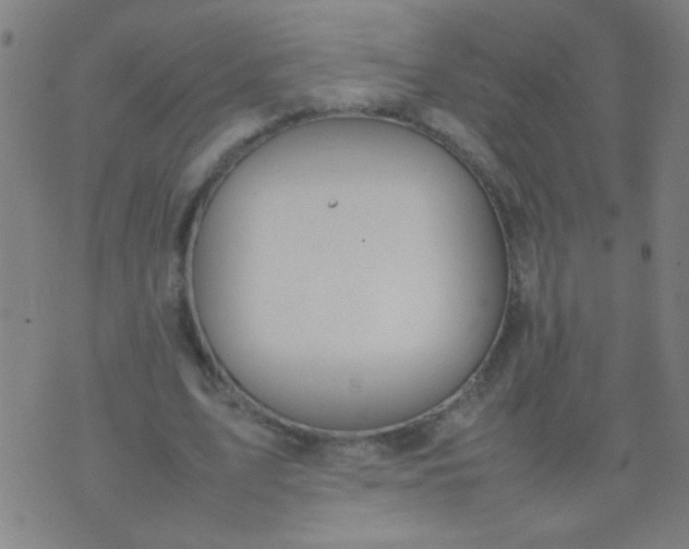 X0000074290583200609081854