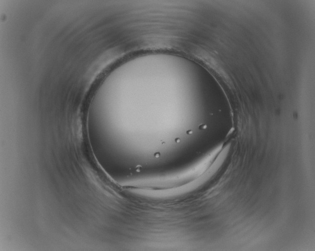 X0000074290584200609081854