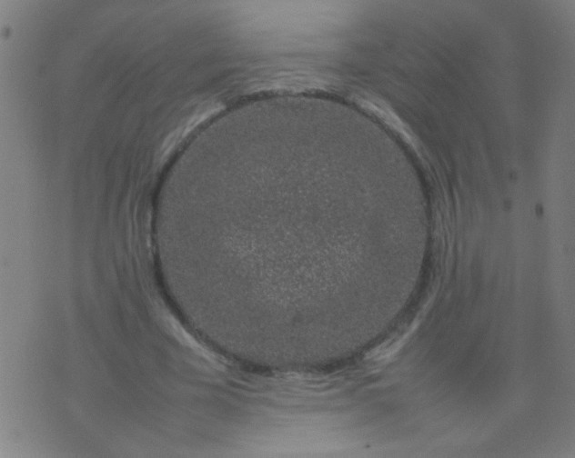 X0000074290585200609081854