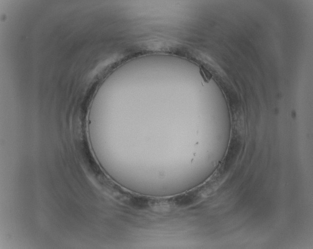 X0000074290587200609081854