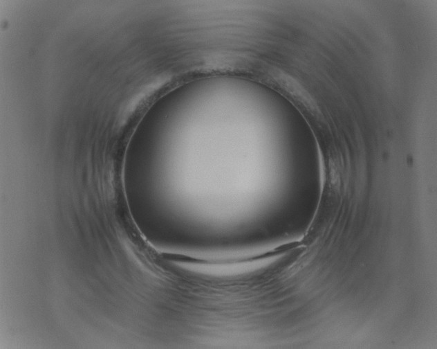 X0000074290588200609081854