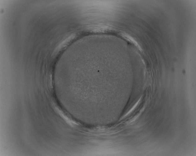 X0000074290589200609081854