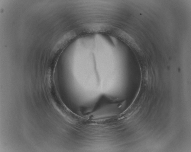 X0000074290590200609081854